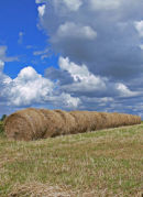 Hay bales